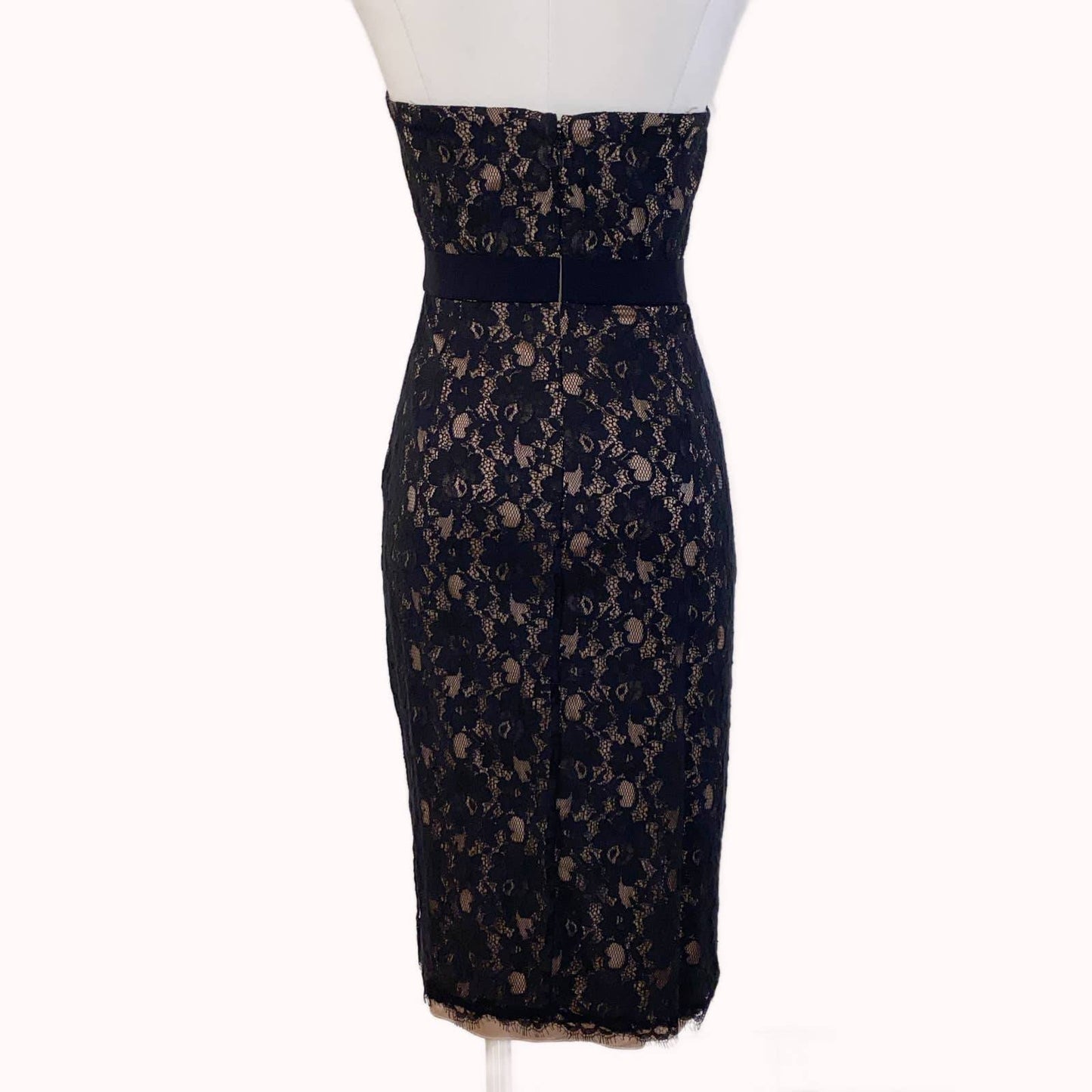 BCBGMAXAZRIA Black Lace with Cream Slip Strapless Midi Dress